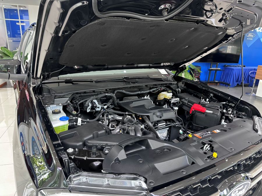 Ford everest platinum mới